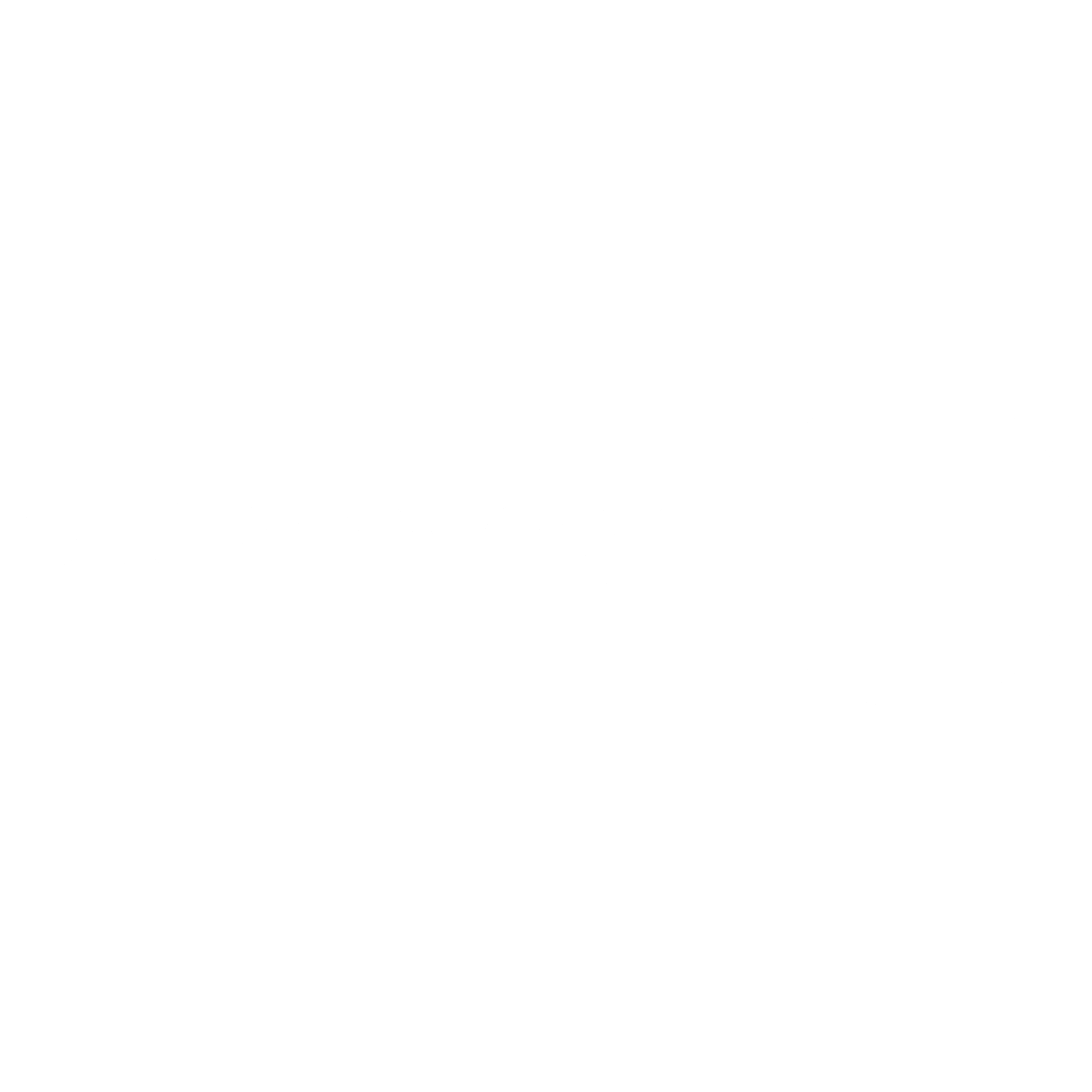 Logo Achmea white transparent (png)